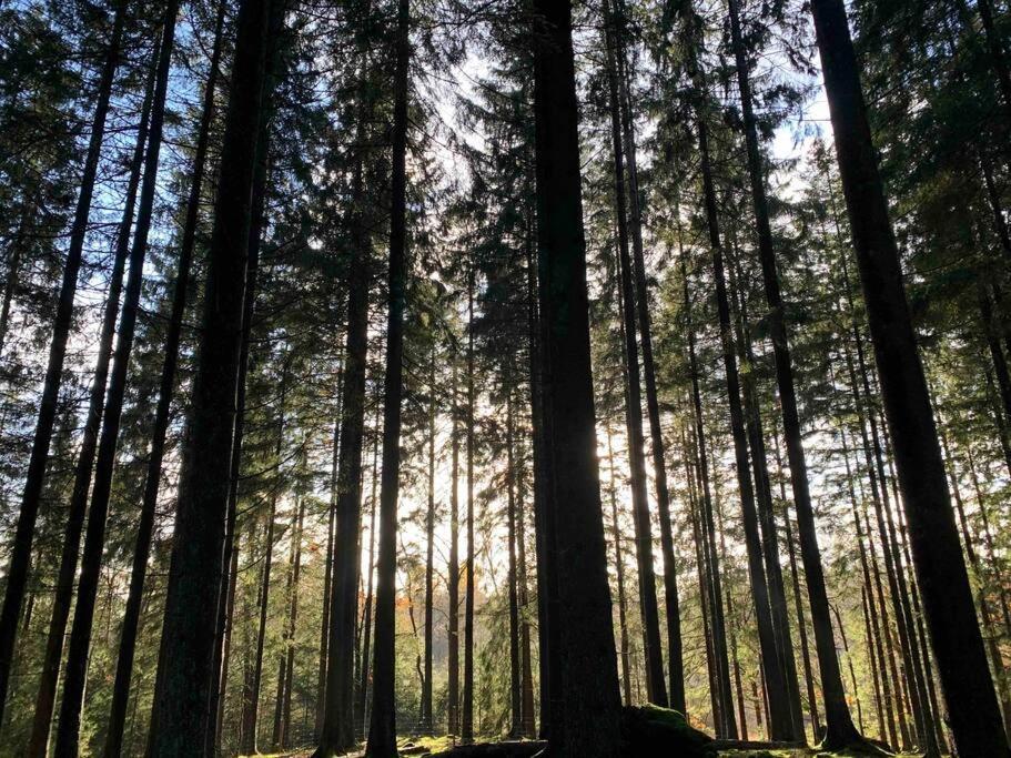 Panoramavy Naera Gbg Och Natur Olofstorp Екстер'єр фото
