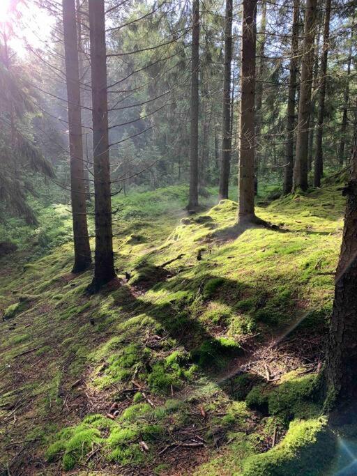 Panoramavy Naera Gbg Och Natur Olofstorp Екстер'єр фото